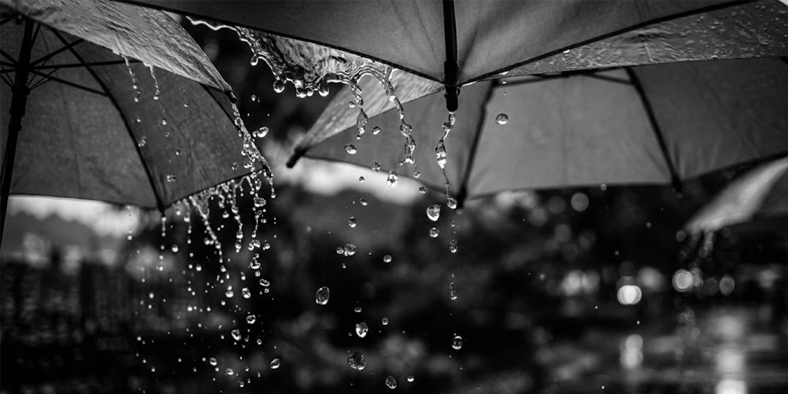 PHOTO PLUIE 1 PHOTO PLUIE 1